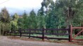 /album/casa-en-niebla/img-20140331-182551067-hdr-jpg/